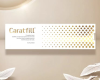 Caratfill Filler Skin Booster Hyaluronic Acid 5.2ml 10 Visa Injection Essence Firming, Moisturizing and Anti-Aging